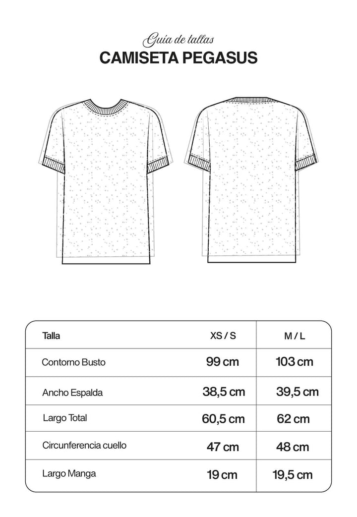 Pegasus T-shirt